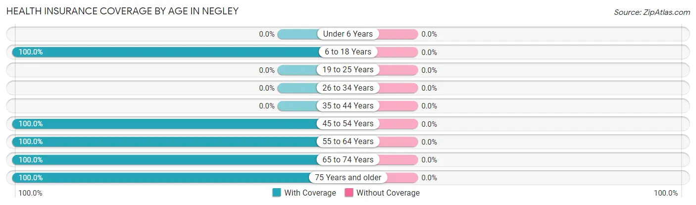 Health Insurance Coverage by Age in Negley