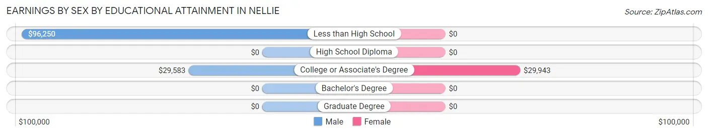 Earnings by Sex by Educational Attainment in Nellie