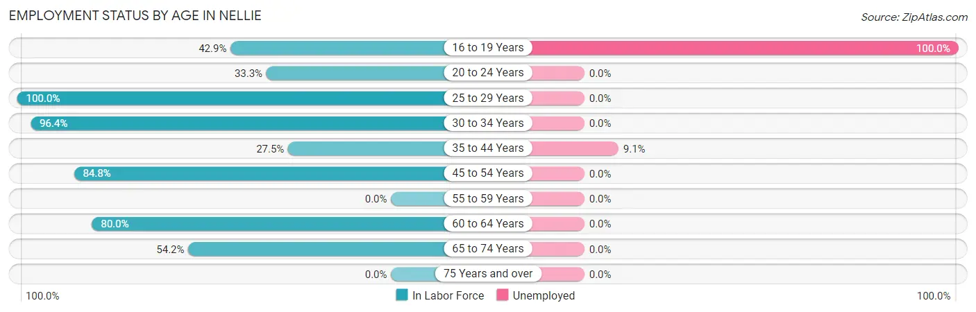Employment Status by Age in Nellie