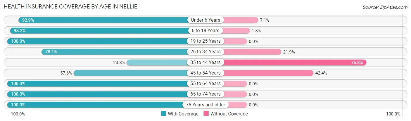Health Insurance Coverage by Age in Nellie