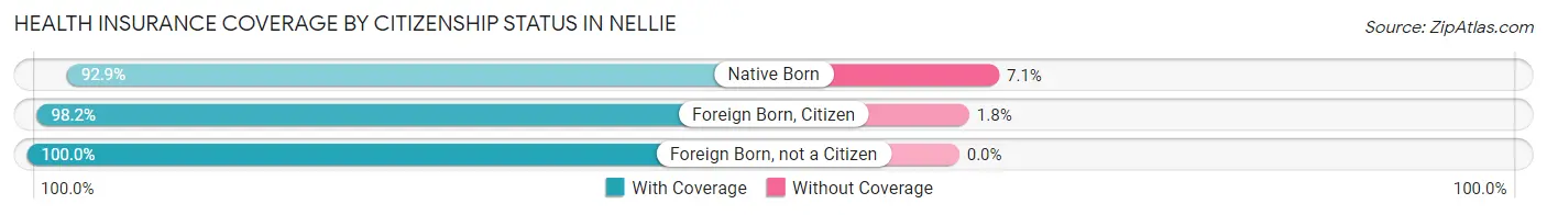 Health Insurance Coverage by Citizenship Status in Nellie