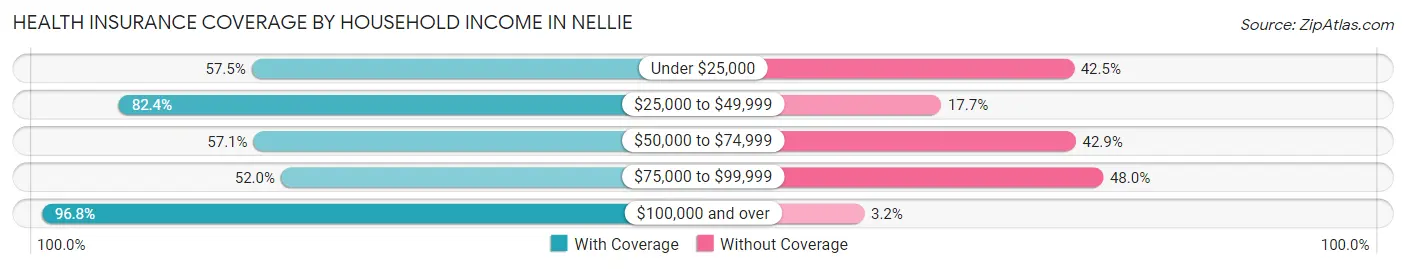 Health Insurance Coverage by Household Income in Nellie