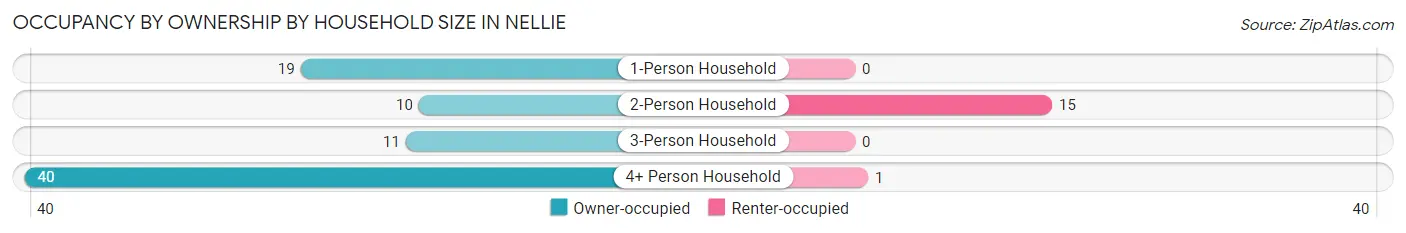 Occupancy by Ownership by Household Size in Nellie