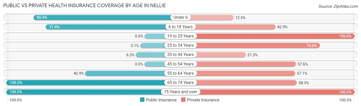 Public vs Private Health Insurance Coverage by Age in Nellie