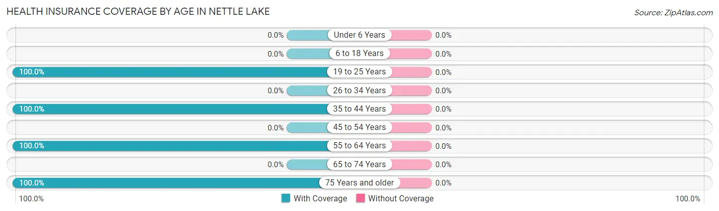Health Insurance Coverage by Age in Nettle Lake