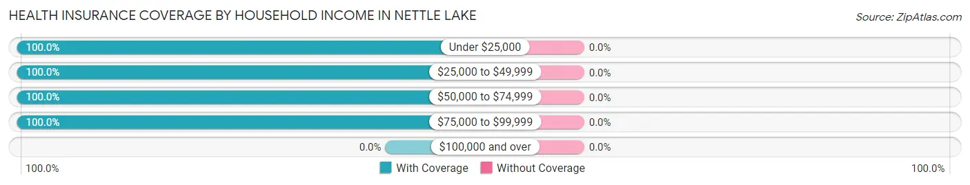 Health Insurance Coverage by Household Income in Nettle Lake