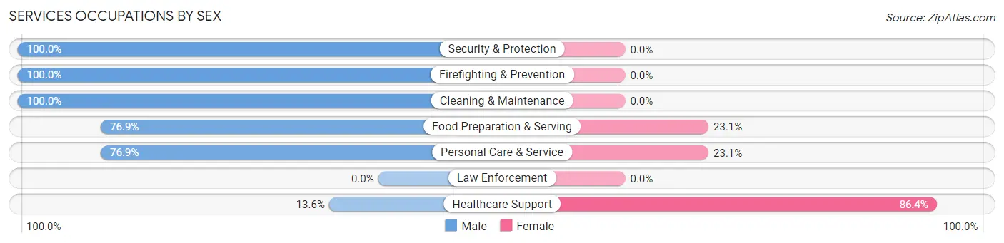 Services Occupations by Sex in New Boston