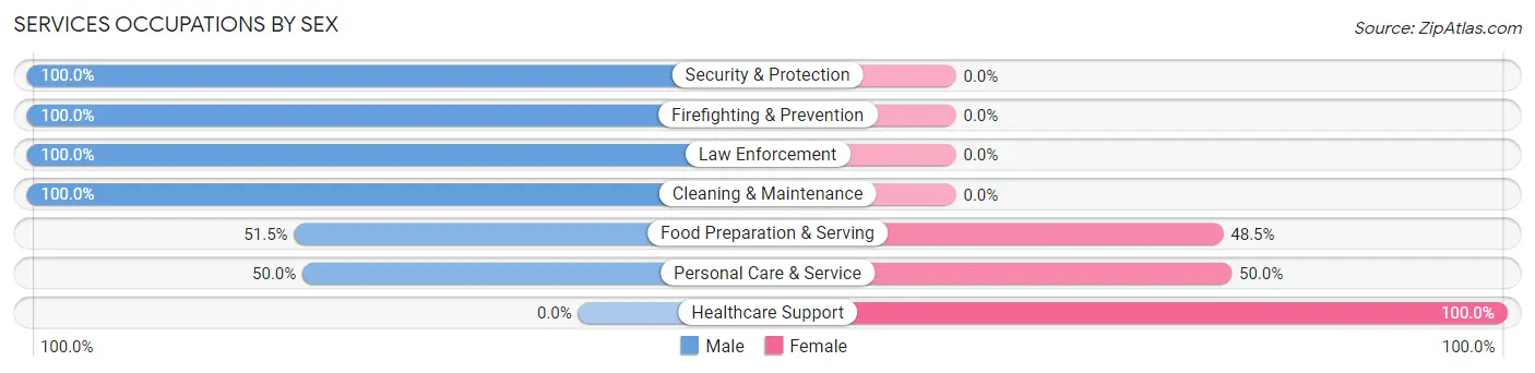 Services Occupations by Sex in New Burlington