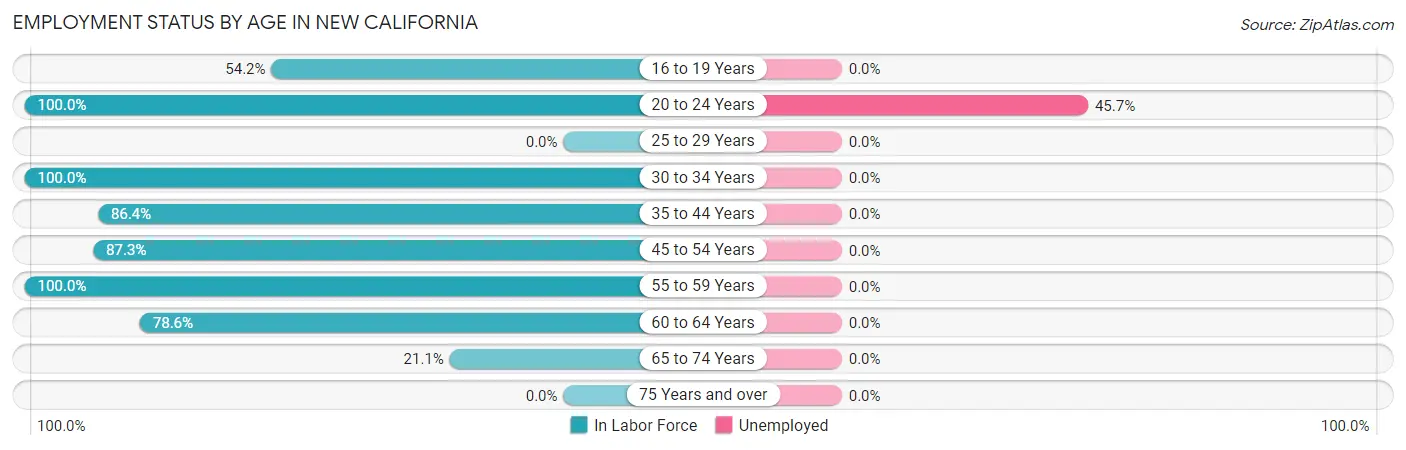 Employment Status by Age in New California