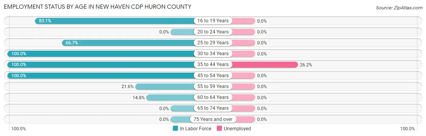 Employment Status by Age in New Haven CDP Huron County
