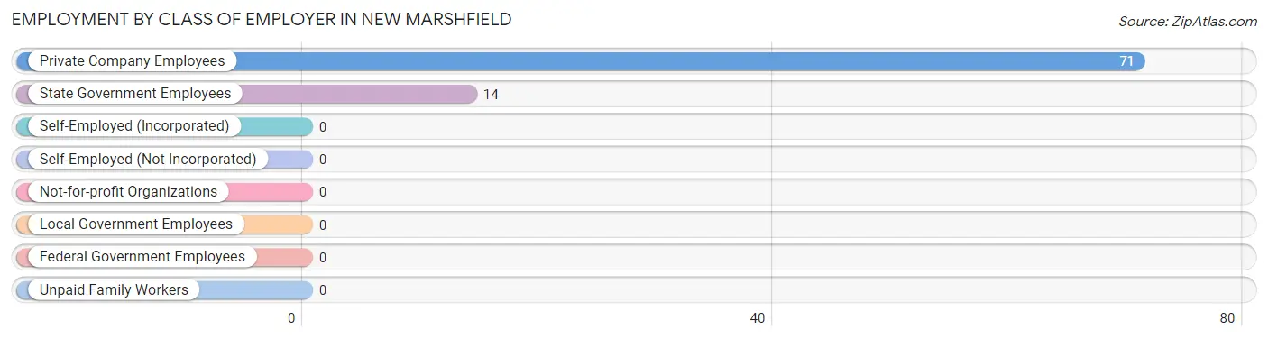 Employment by Class of Employer in New Marshfield
