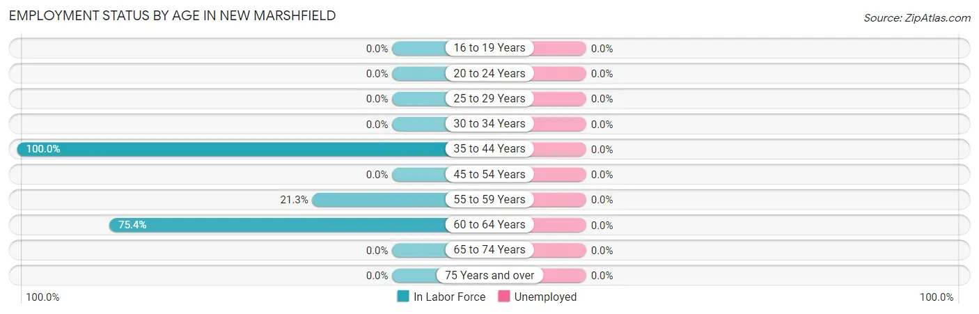 Employment Status by Age in New Marshfield