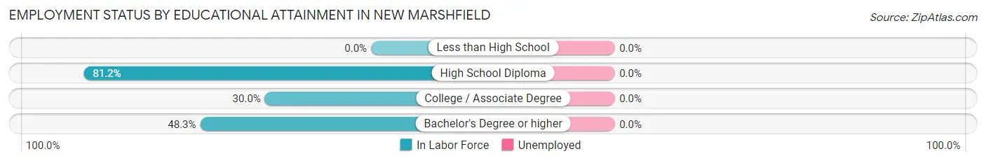Employment Status by Educational Attainment in New Marshfield