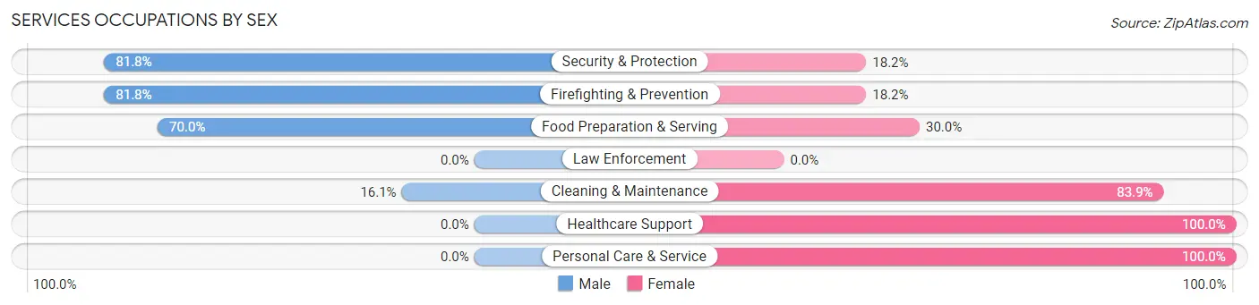 Services Occupations by Sex in New Miami