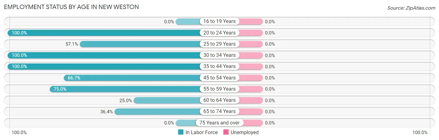 Employment Status by Age in New Weston