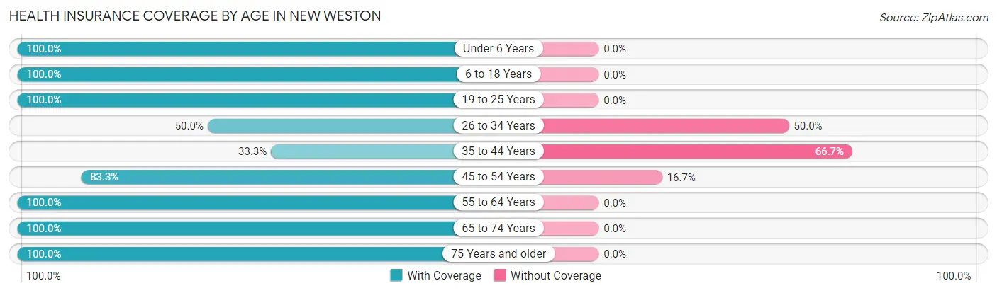 Health Insurance Coverage by Age in New Weston