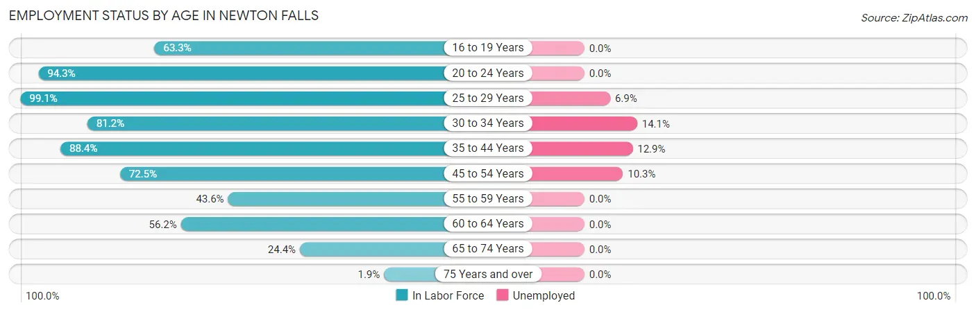 Employment Status by Age in Newton Falls