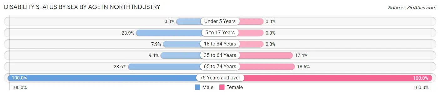Disability Status by Sex by Age in North Industry