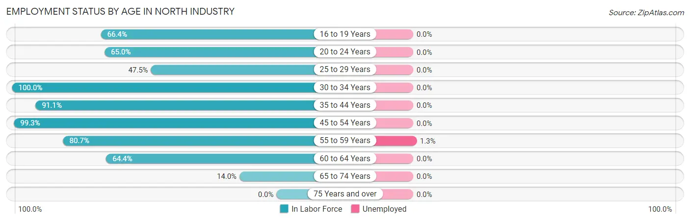 Employment Status by Age in North Industry