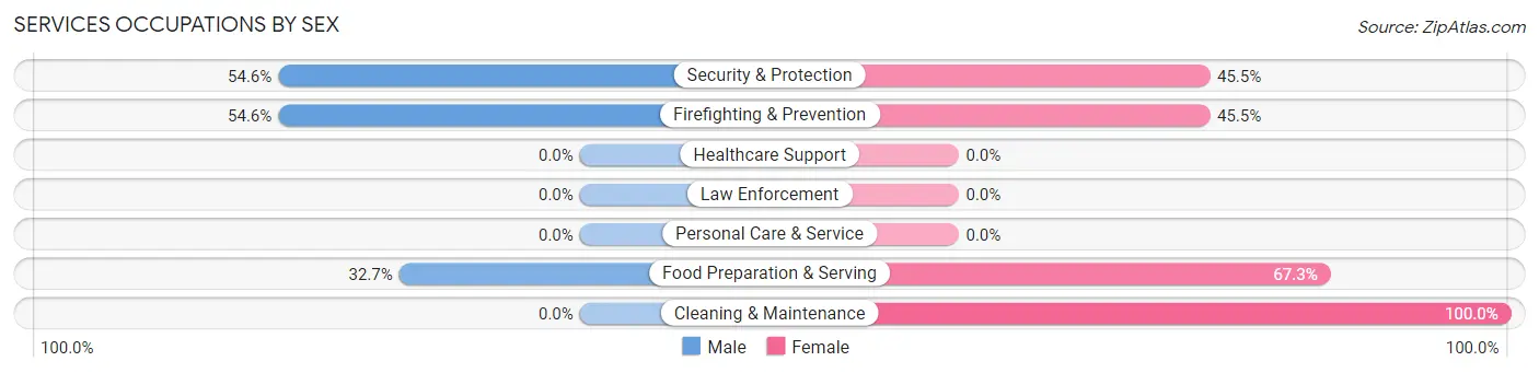 Services Occupations by Sex in North Industry