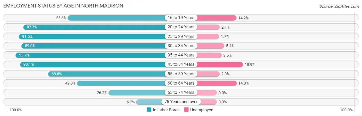 Employment Status by Age in North Madison