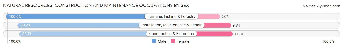 Natural Resources, Construction and Maintenance Occupations by Sex in North Madison