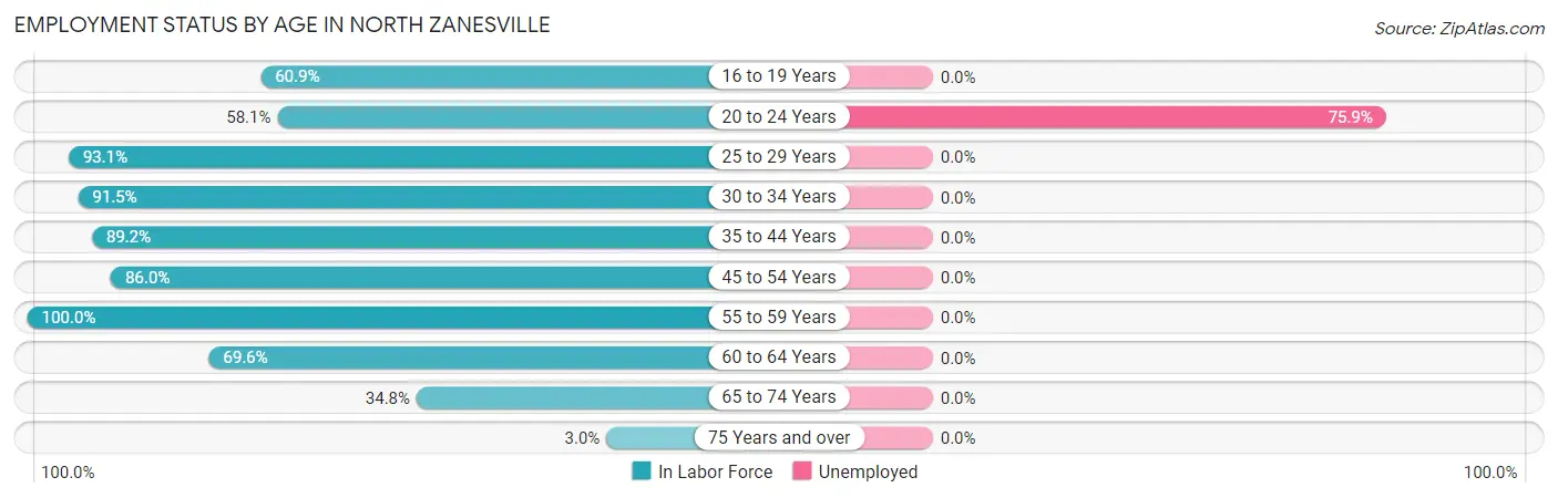 Employment Status by Age in North Zanesville