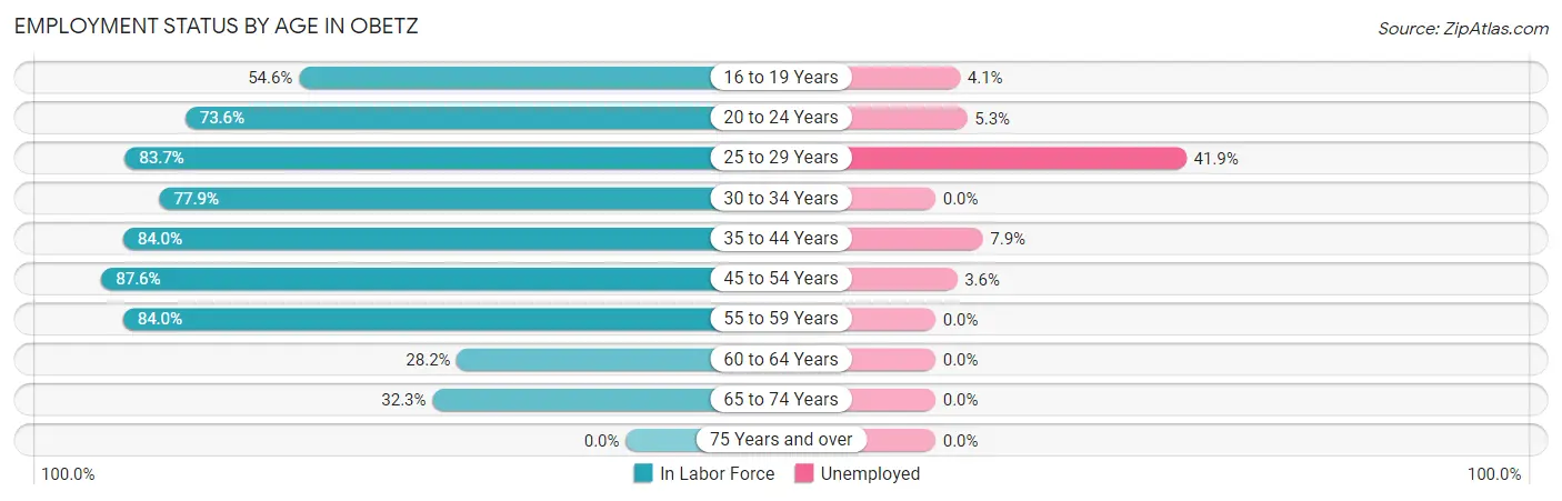 Employment Status by Age in Obetz