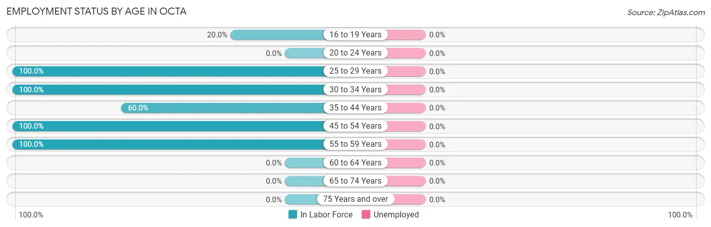 Employment Status by Age in Octa