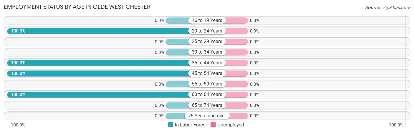 Employment Status by Age in Olde West Chester