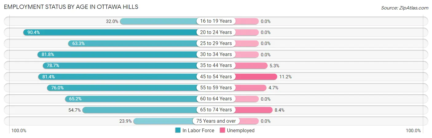 Employment Status by Age in Ottawa Hills