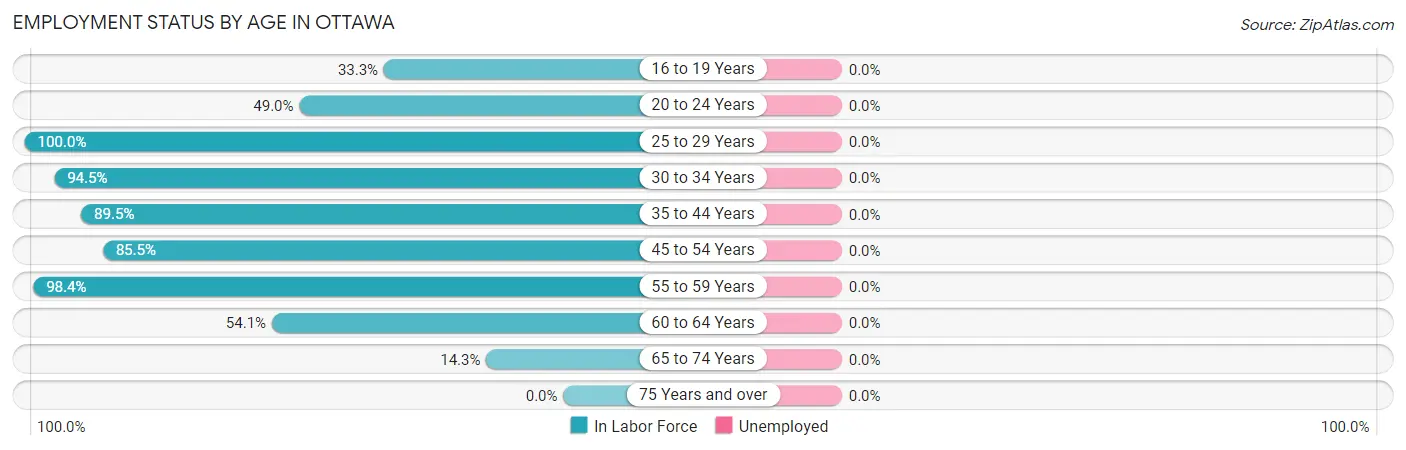 Employment Status by Age in Ottawa