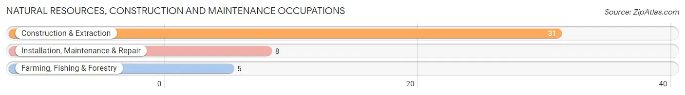 Natural Resources, Construction and Maintenance Occupations in Ottoville