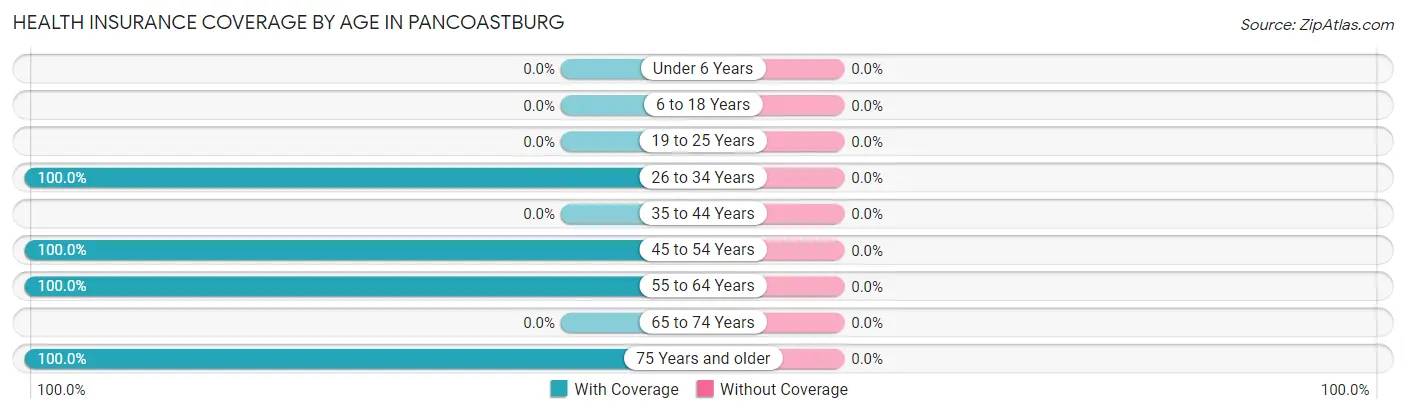 Health Insurance Coverage by Age in Pancoastburg