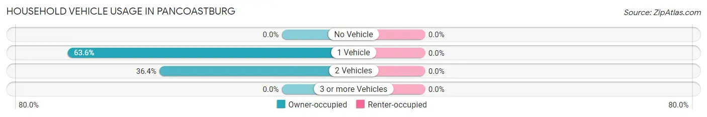Household Vehicle Usage in Pancoastburg