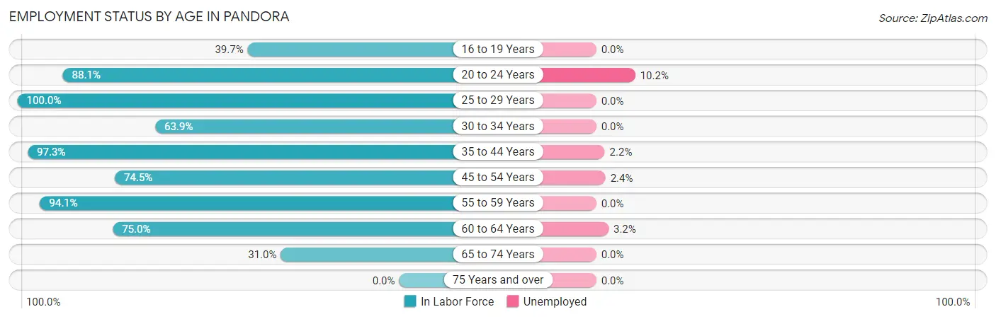 Employment Status by Age in Pandora