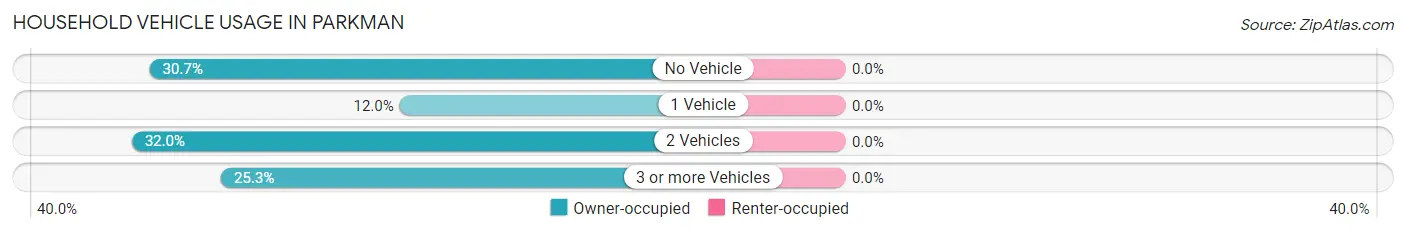 Household Vehicle Usage in Parkman