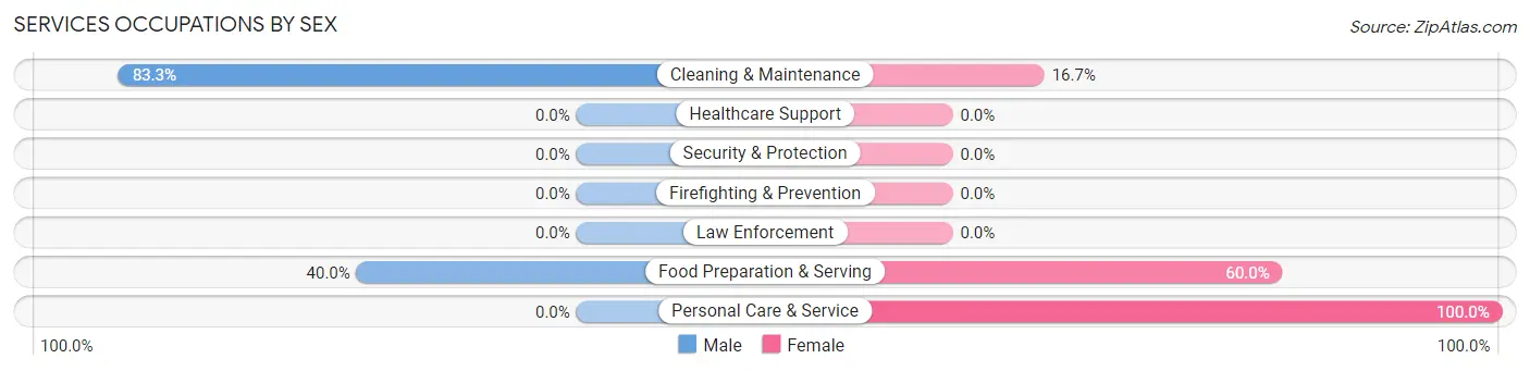 Services Occupations by Sex in Patterson