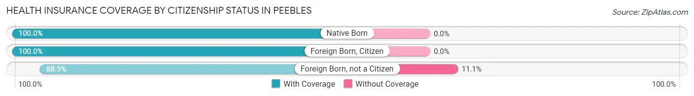 Health Insurance Coverage by Citizenship Status in Peebles