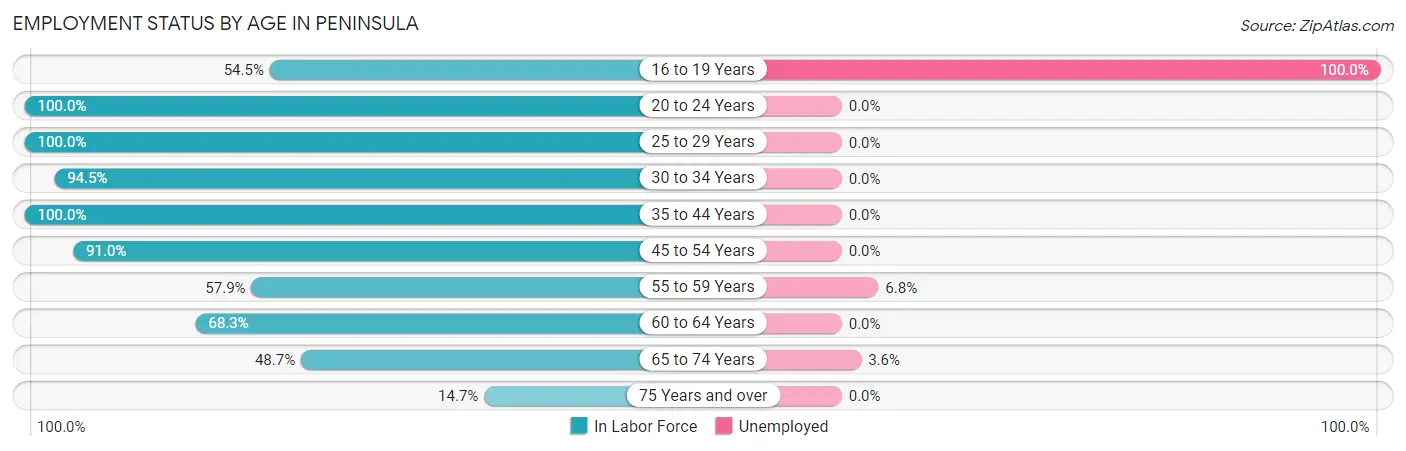Employment Status by Age in Peninsula