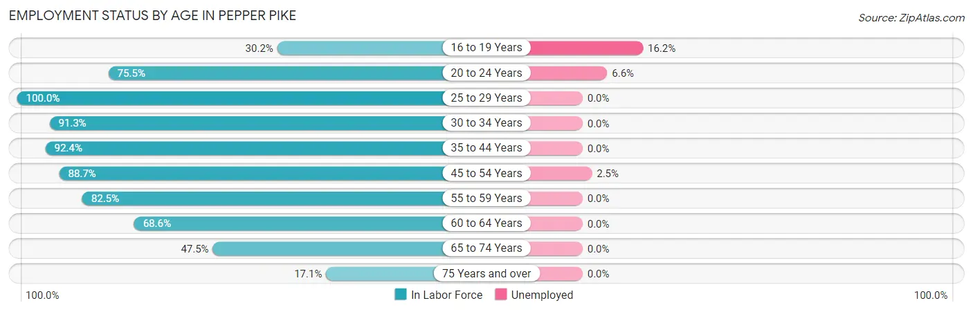 Employment Status by Age in Pepper Pike