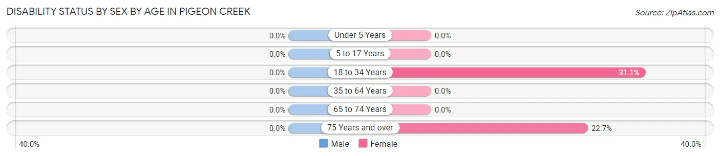 Disability Status by Sex by Age in Pigeon Creek