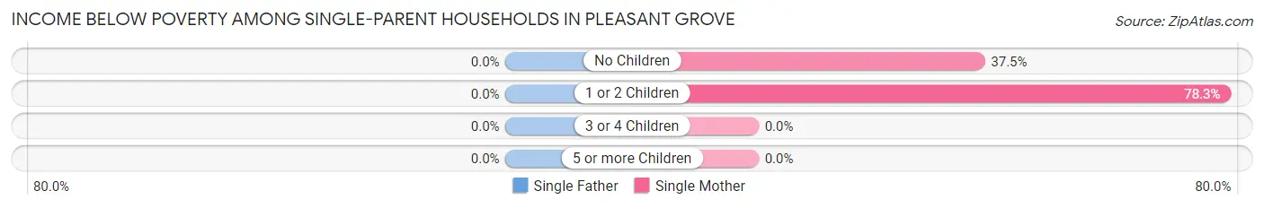 Income Below Poverty Among Single-Parent Households in Pleasant Grove