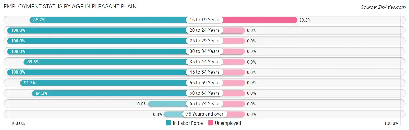 Employment Status by Age in Pleasant Plain