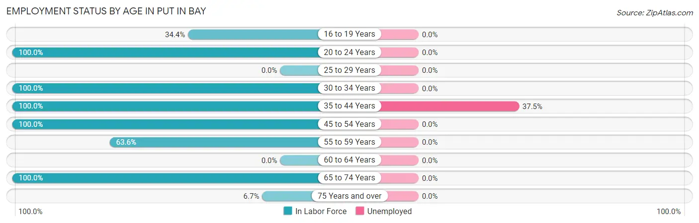 Employment Status by Age in Put In Bay