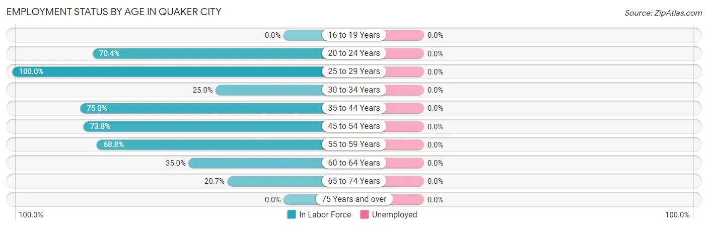 Employment Status by Age in Quaker City