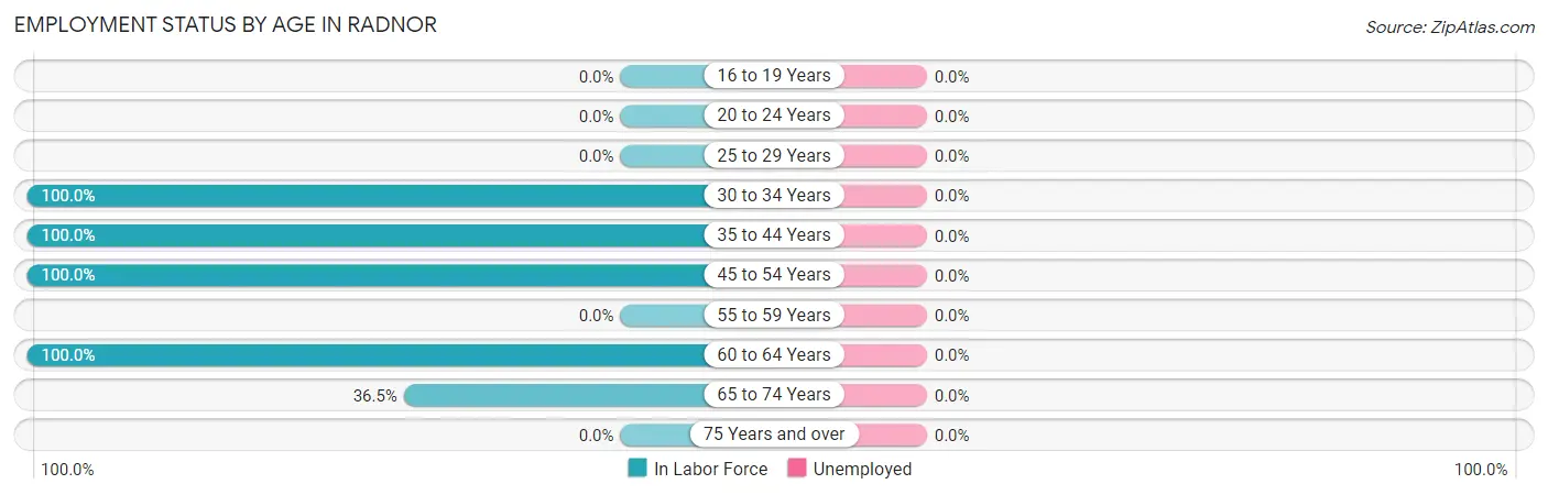 Employment Status by Age in Radnor