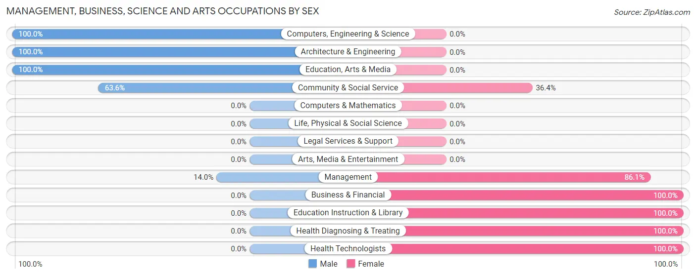 Management, Business, Science and Arts Occupations by Sex in Republic