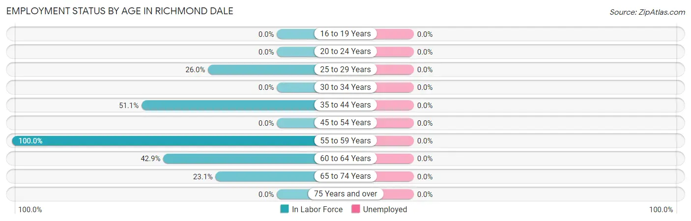 Employment Status by Age in Richmond Dale