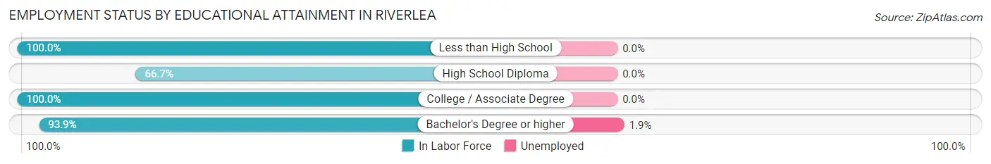Employment Status by Educational Attainment in Riverlea